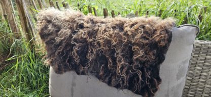 Vacht bruin 'Bibi' - Afbeelding 5