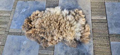 Alpacavacht gevilt 'Guus' - Afbeelding 2