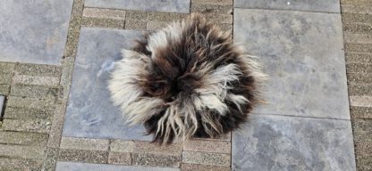 Vacht bont 'Froukje'