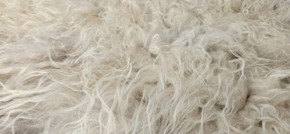 Vacht wit 'Sammy' - Afbeelding 3