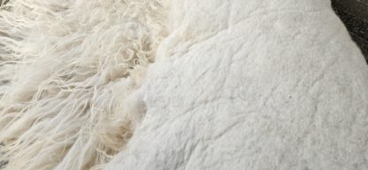Vacht wit 'Sammy' - Afbeelding 4