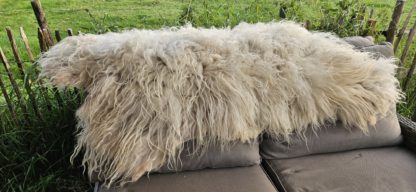 Vacht wit 'Sammy' - Afbeelding 5