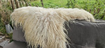 Vacht wit 'Elize' - Afbeelding 5