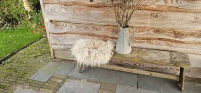 Lichte vacht 'Steffie'