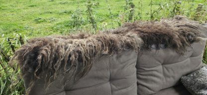 Vacht grijs/ bruin 'Rosalie' - Afbeelding 8