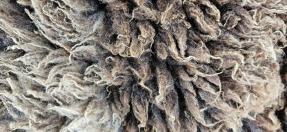 Vacht bruin 'Merel' - Afbeelding 5