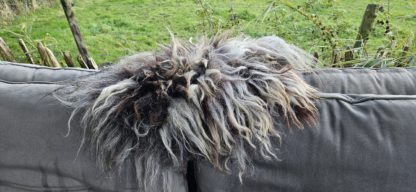 Vachtje grijs/ bruin/ blond 'Tiffany' - Afbeelding 6