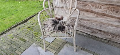 Vachtje bont 'Loulou' - Afbeelding 2