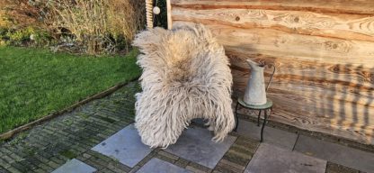 XL Vacht lichtgrijs 'Billie'