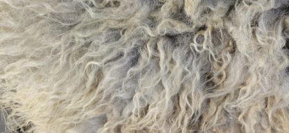 Vacht wit 'Lieve' - Afbeelding 5