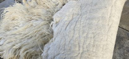 Vacht wit 'Lieve' - Afbeelding 3