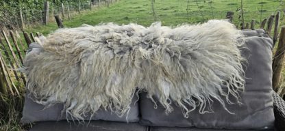 Vacht wit 'Lieve' - Afbeelding 4