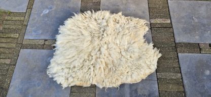 Vacht wit 'Lotje' - Afbeelding 2