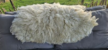 Vacht wit 'Lotje' - Afbeelding 5