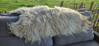 Vacht wit 'Steffie' - Afbeelding 5