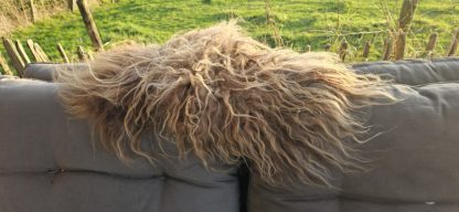 Vacht camelkleur 'Rachel' - Afbeelding 5