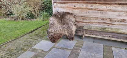 Vacht bruin 'Flop'