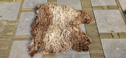 Vacht bruin 'Wilma' - Afbeelding 2