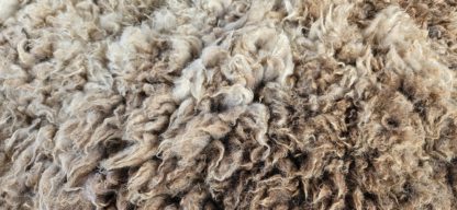 Vacht bruin 'Wilma' - Afbeelding 3