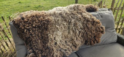 Vacht bruin 'Wilma' - Afbeelding 5
