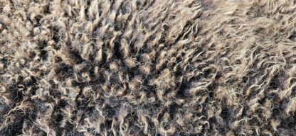 Vacht bruin 'Mia' - Afbeelding 4