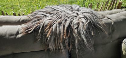 Vacht grijs/bruin 'Lotje' - Afbeelding 5