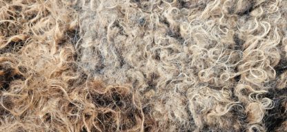 Vacht bruin 'Greetje' - Afbeelding 2
