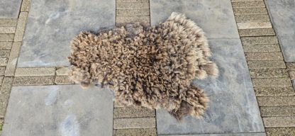 Vacht bruin 'Bea' - Afbeelding 2