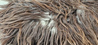 Vacht bruin 'Cindy' - Afbeelding 4