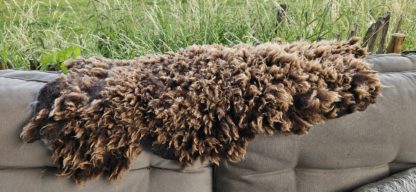 Vacht bruin 'Vivian' - Afbeelding 5