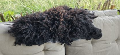 Vacht 'Bo' zwart/bruin - Afbeelding 5
