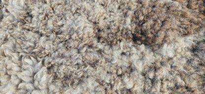 Vacht beige/ bruin 'Pip' - Afbeelding 3