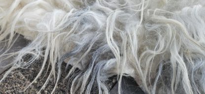 Lichte vacht 'Mary' - Afbeelding 5