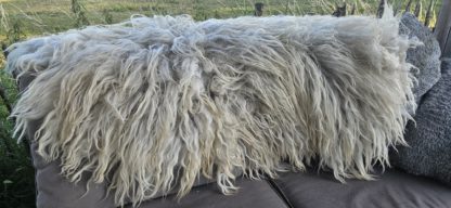 Lichte vacht 'Mary' - Afbeelding 7