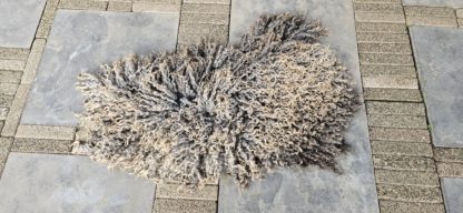 Vacht grijs/bruin 'Carola' - Afbeelding 2