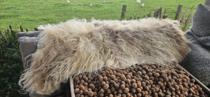 Lichte vacht 'Emma' - Afbeelding 6