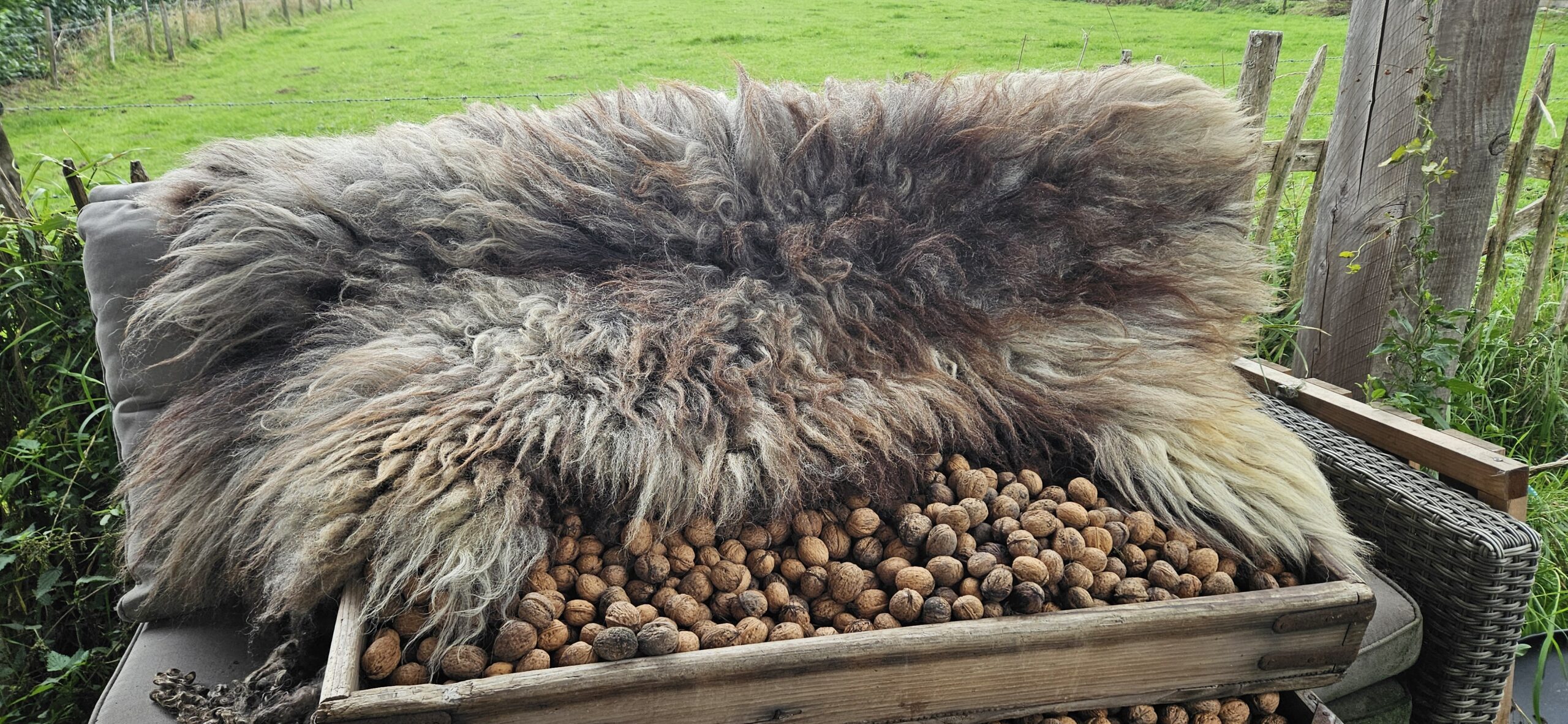 Vacht grijs/bruin/blond 'Molly' - Afbeelding 6