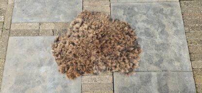 Vacht bruin 'Jetty' - Afbeelding 2