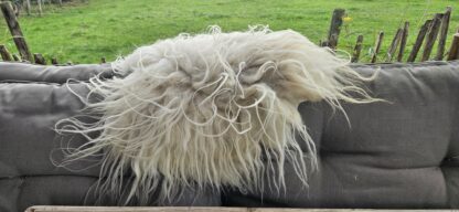 Vacht wit 'Elly' - Afbeelding 5