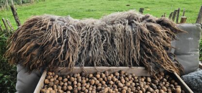 Vacht bruin/grijs 'Loekie' - Afbeelding 6