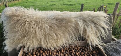 XL vacht wit 'Nina' - Afbeelding 5
