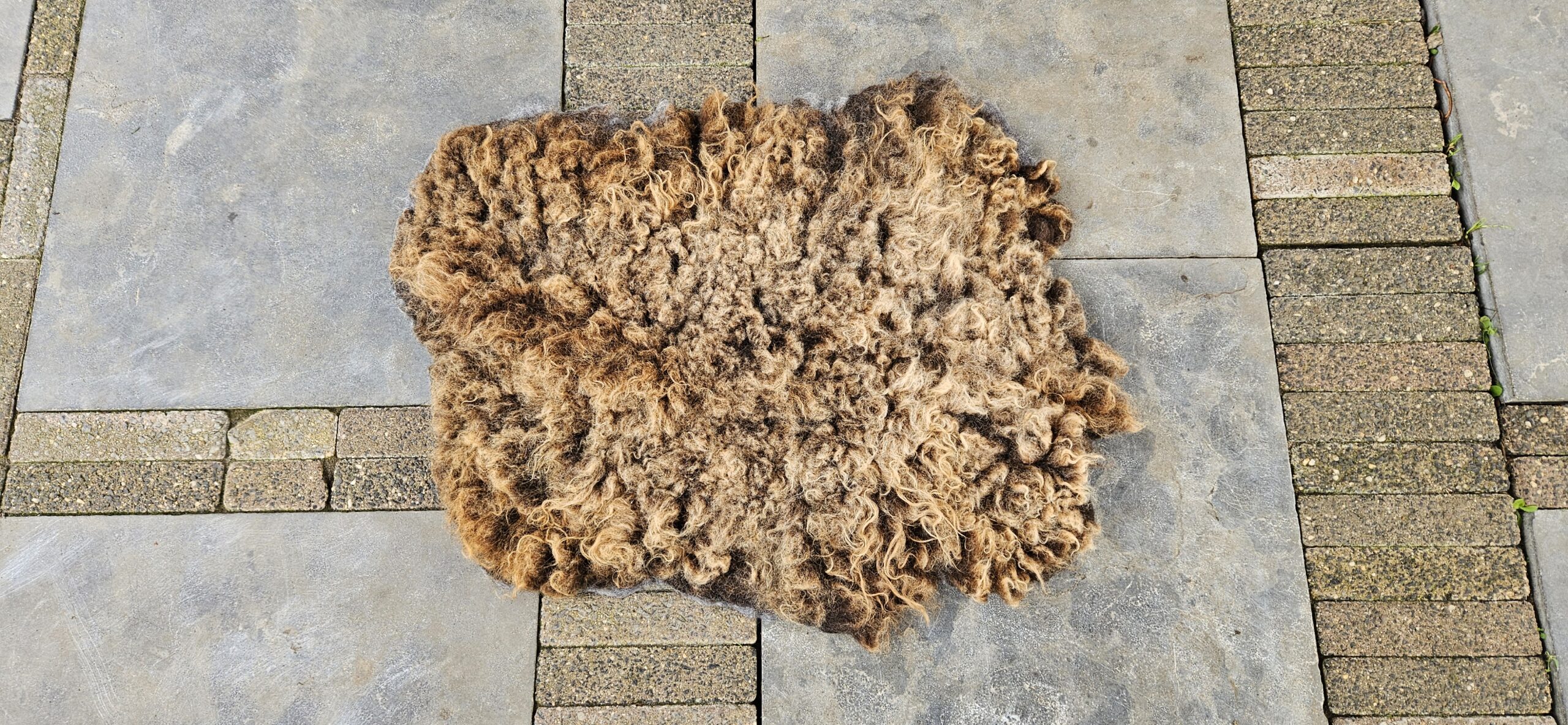 Vacht bruin 'Loulou' - Afbeelding 2