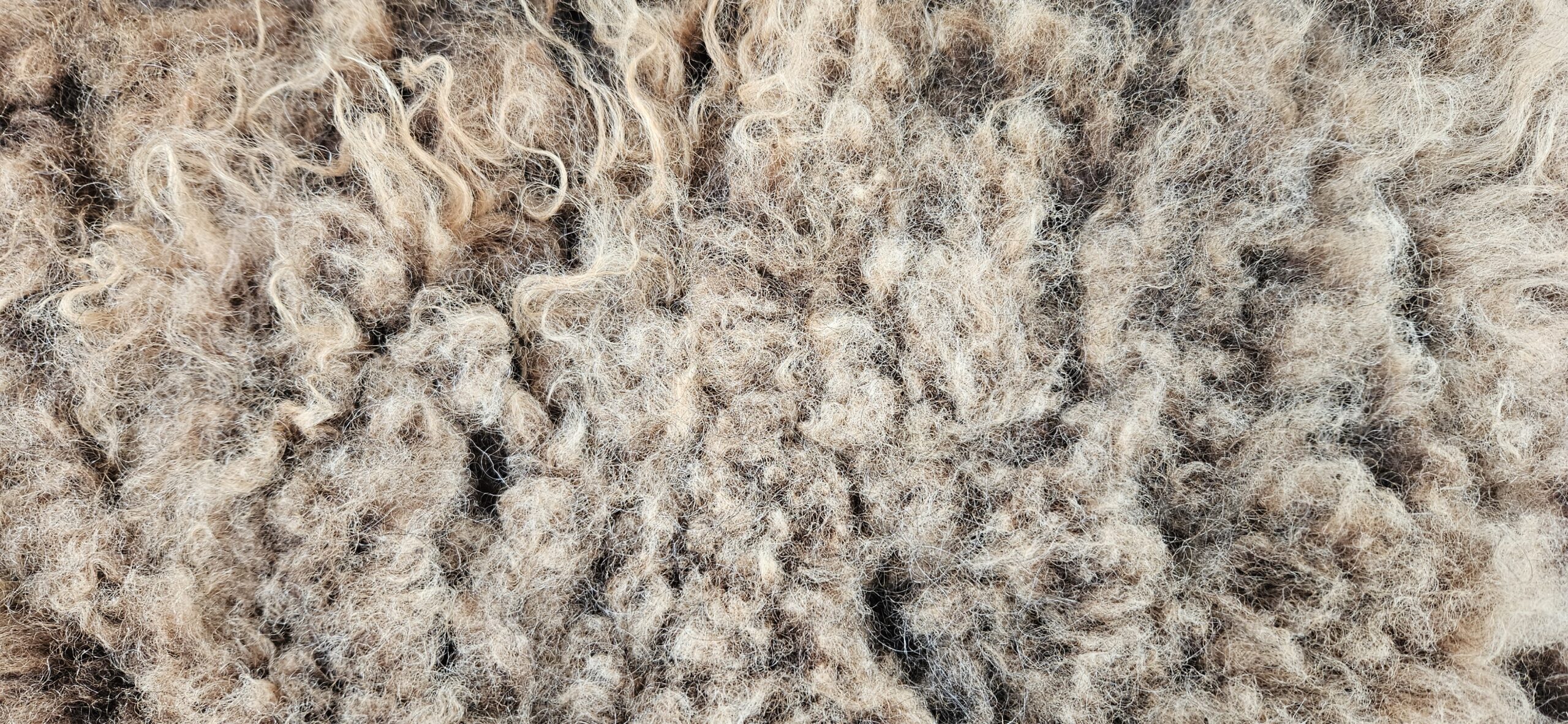 Vacht bruin 'Loulou' - Afbeelding 3