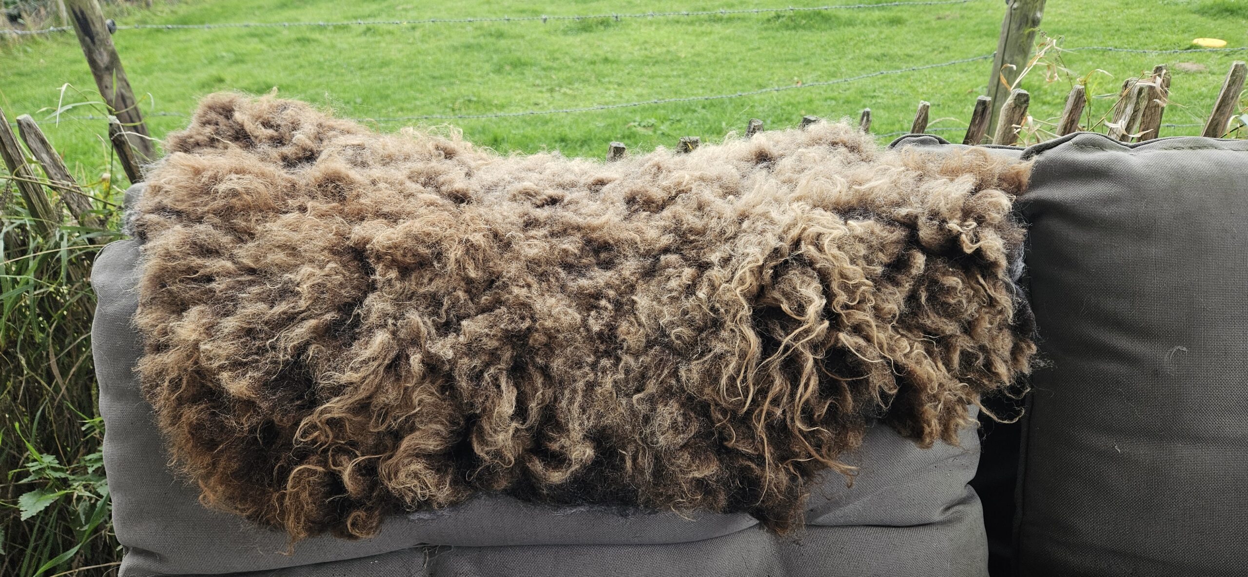 Vacht bruin 'Loulou' - Afbeelding 5