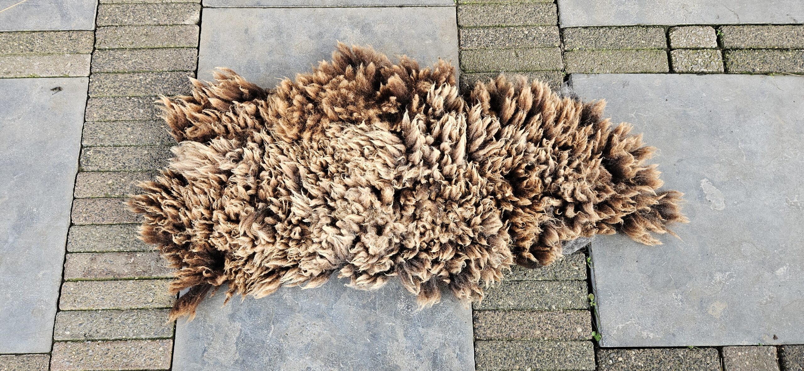 Vacht bruin 'Sara' - Afbeelding 2