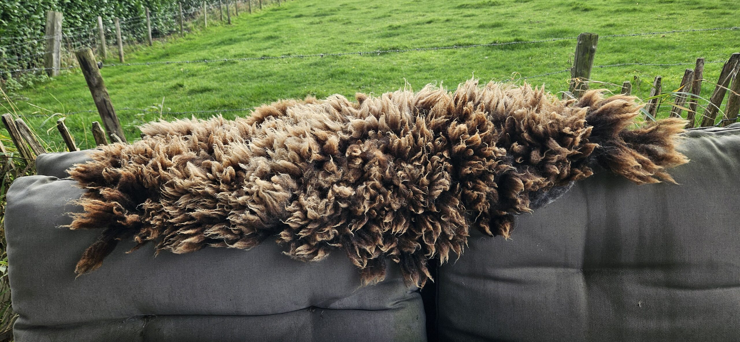 Vacht bruin 'Sara' - Afbeelding 5