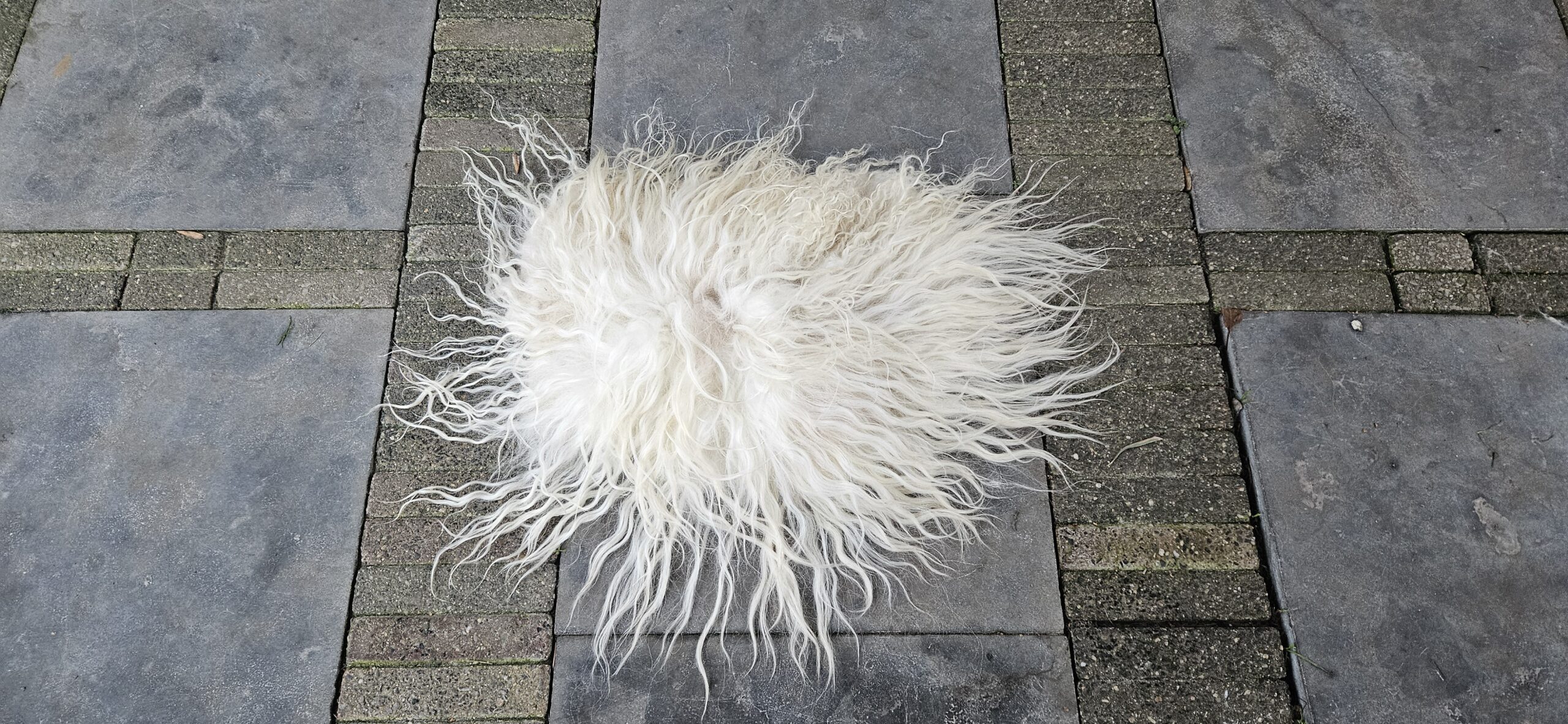 Vacht wit 'Jolijn' - Afbeelding 2