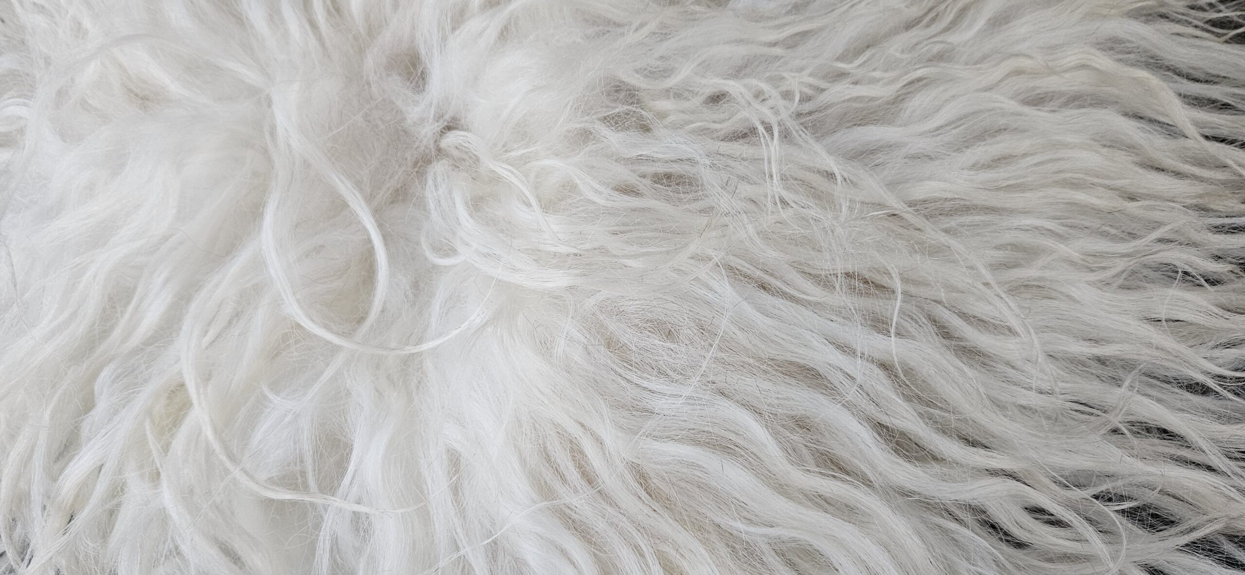 Vacht wit 'Jolijn' - Afbeelding 3