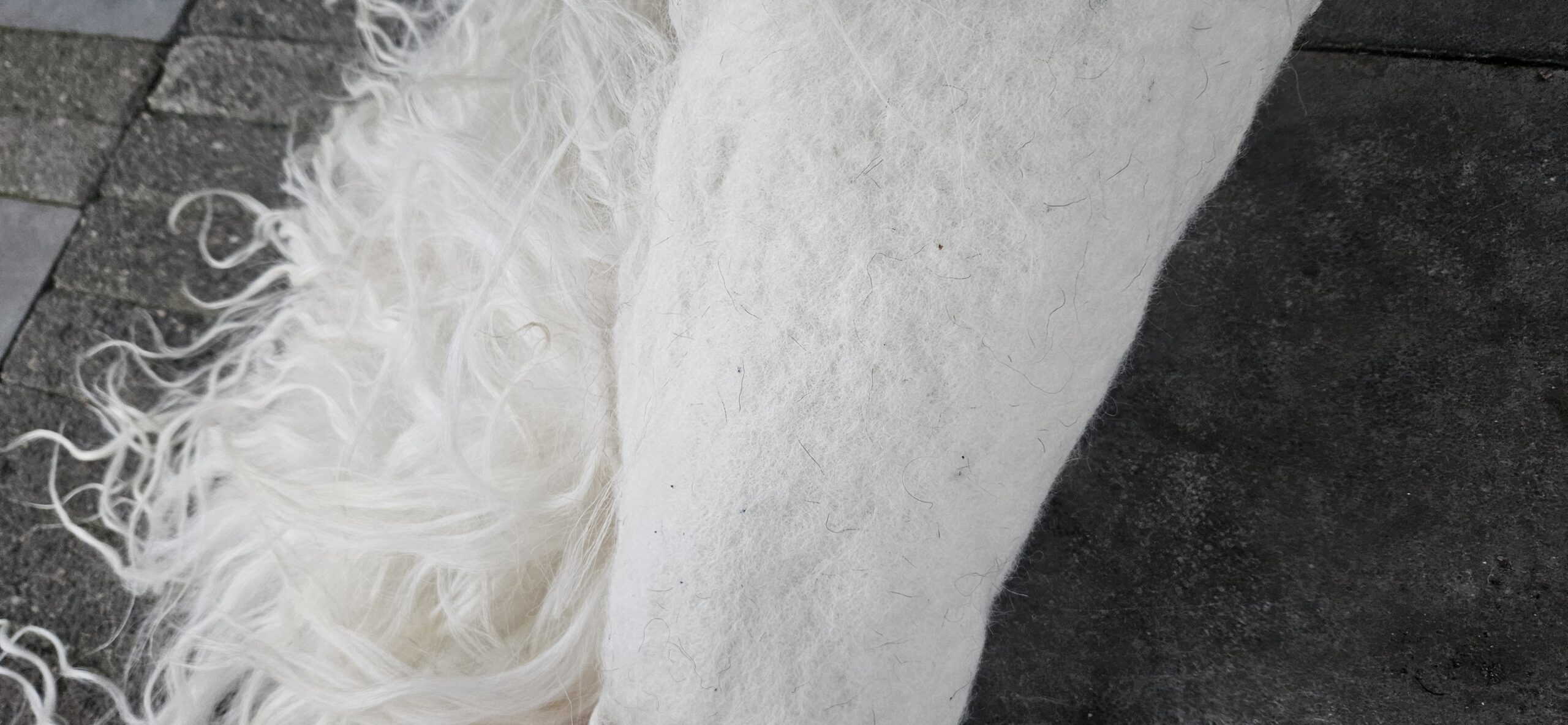 Vacht wit 'Jolijn' - Afbeelding 4