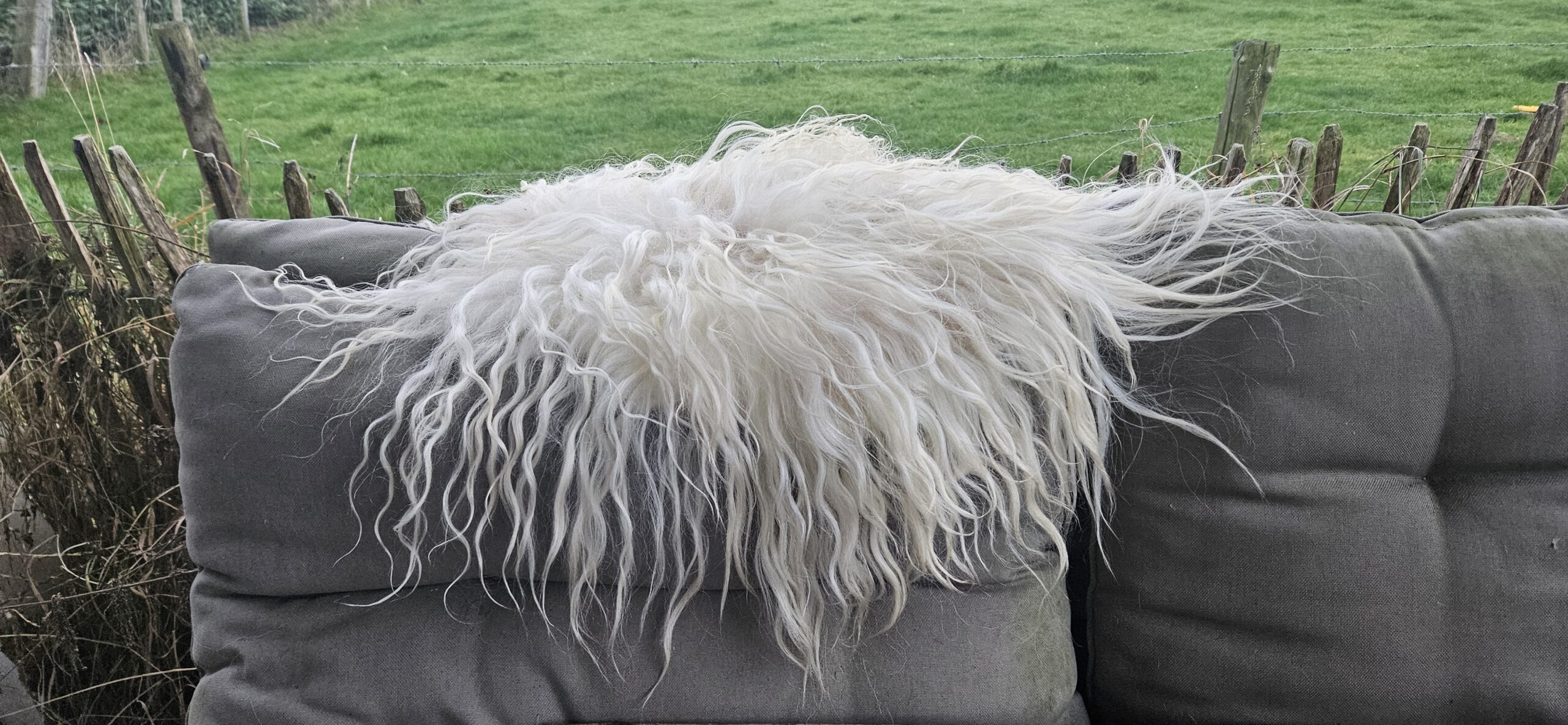 Vacht wit 'Jolijn' - Afbeelding 5